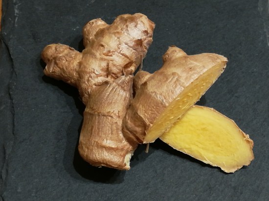 Ingwer Rhizom